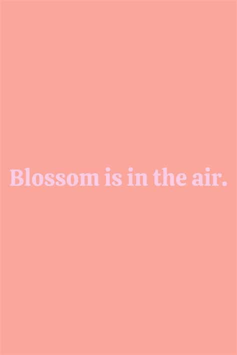 73 Sakura Cherry Blossom Quotes & Captions for Instagram - Darling Quote