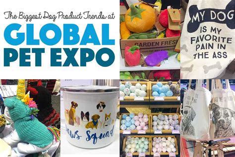 The Biggest Dog Product Trends at Global Pet Expo 2018 - The Broke Dog