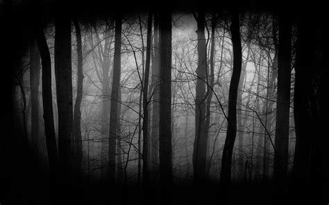 1920x1080px ⇒ Dark Forest Wallpapers