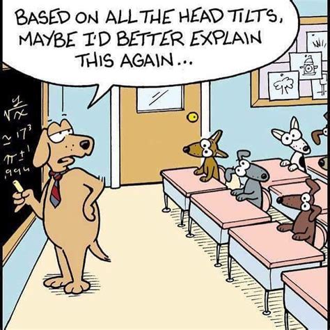 Dog school | Math cartoons, Teacher humor, Dog comics