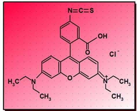 Structure of Rhodamine B isothiocyanate (RBITC) dye. | Download ...