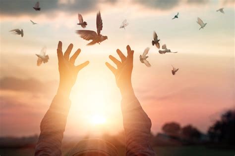 The Grace of Receptivity | IntegrityRestored.com