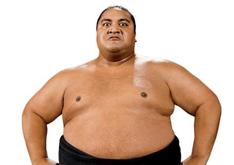 Yokozuna: Profile, Career Stats, Face/Heel Turns, Titles Won & Gimmicks | Pro Wrestlers Database