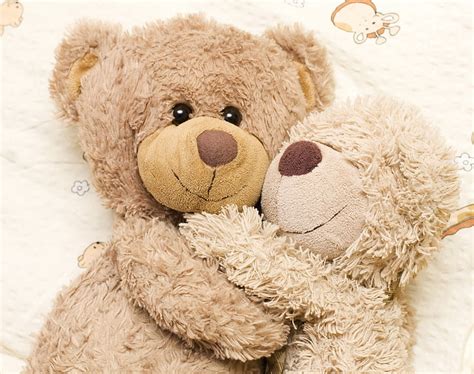 HD wallpaper: toy, bear, wood, teddy bear, cute | Wallpaper Flare