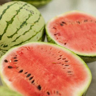 Organic & Non-GMO Watermelon Seeds from $3.99 - Grow Organic