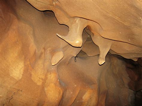 Pendants (Diamond Caverns, Kentucky, USA) 2 | Pendants are d… | Flickr