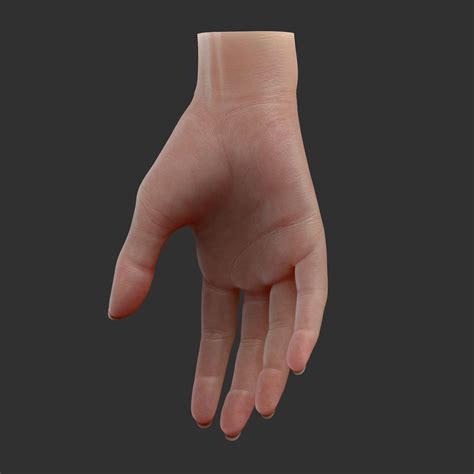 Human hand 3d model free download blender four fingers - doorplm