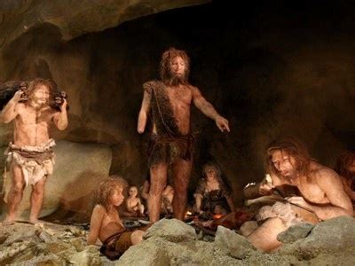 The Krapina Neanderthal Museum covers a surface area of around 1,200 m² ...