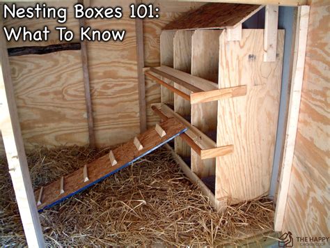 Nesting Boxes | Chicken roost, Chicken nesting boxes, Inside chicken coop