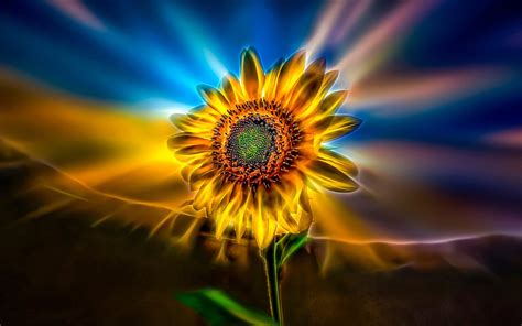 Download wallpapers sunflower, neon lights, art, creative for desktop with resolution 1920x1200 ...