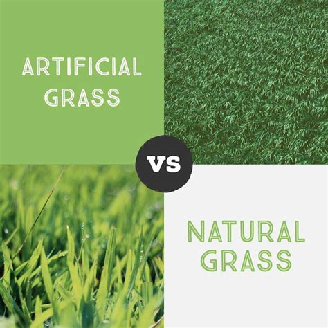 🥇Artificial Turf vs Natural Grass in Lakeside Ca | 🥇{Artificial Grass|Artificial Turf|Synthetic ...