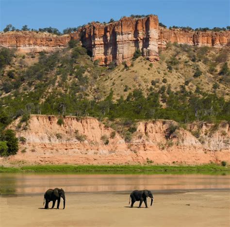 Zimbabwe - Gonarezhou National Park | Nature-Connexion