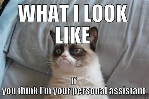 Personal Assistant - quickmeme