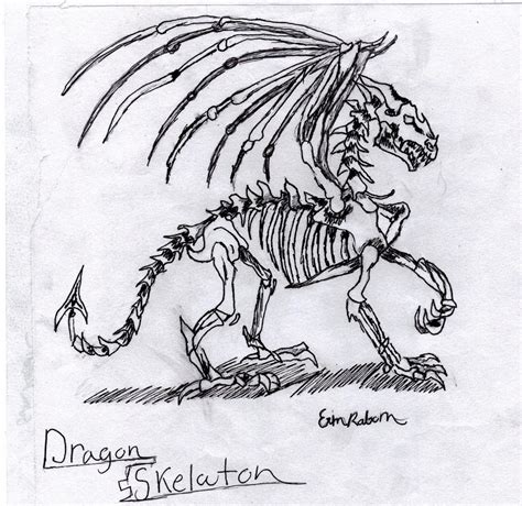 Dragon Skeleton by ValsparinDragon on DeviantArt