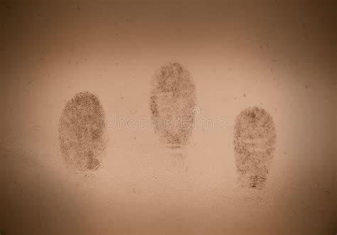 Crime Scene Dna Fingerprint