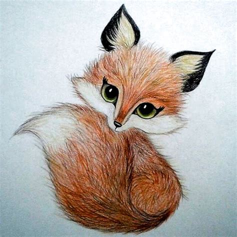 Fox Sleeping Drawing