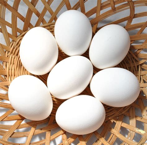 Eggs White Basket - Free photo on Pixabay - Pixabay