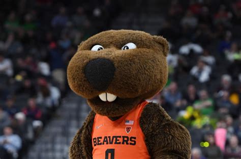 Oregon State Basketball: 3 reasons why Beavers can win Pac-12 in 2019 - Page 2