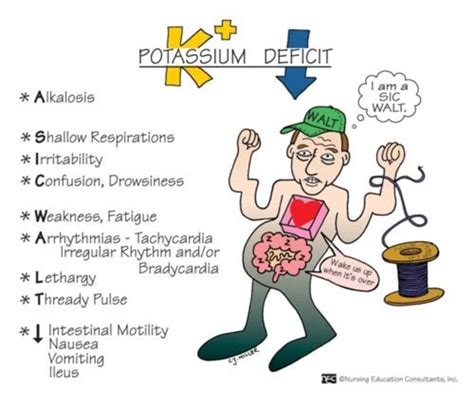 How to Recognize the Signs and Symptoms of Low Potassium Hypokalemia | HubPages