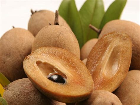 The Most Amazing Health Benefits Of Sapota - Health Cautions