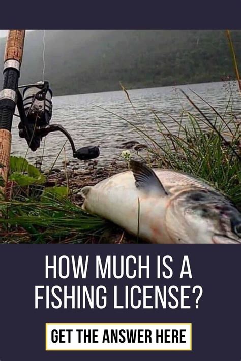 √ What Is A Recreational Fishing License