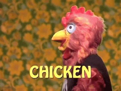 Know Your Chicken GIFs - Find & Share on GIPHY