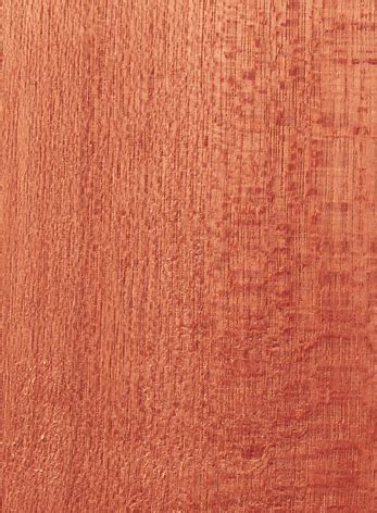 Dark Red Meranti Wood Texture