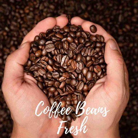 7 Packaging Tips To Keep Coffee Beans Fresh