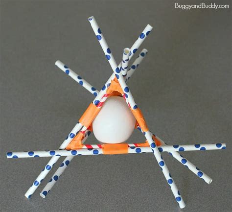 STEM for Kids: Egg Drop Project - Buggy and Buddy