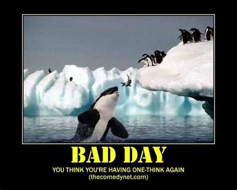 bad-day-motivational-posters | Demotivational posters funny ...