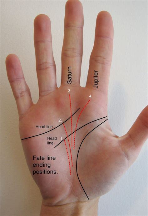 Palmistry Fate: Fate line and the meanings of its different signs Talk To The Hand, Palm Of Your ...