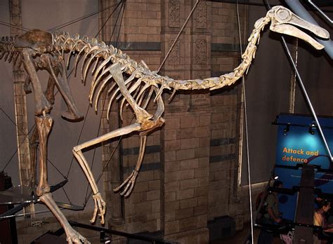 Prehistoric Beast of the Week: Gallimimus: Beast of the Week