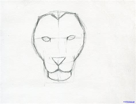Lion Face Drawing Pics | Drawing Skill