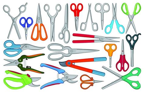 22 Different Types of Scissors and Their Uses (with Pictures) - Homenish