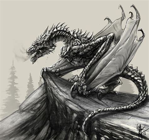 Image result for drawings of dragons | Dragon sketch, Dragon drawing, Fantasy dragon