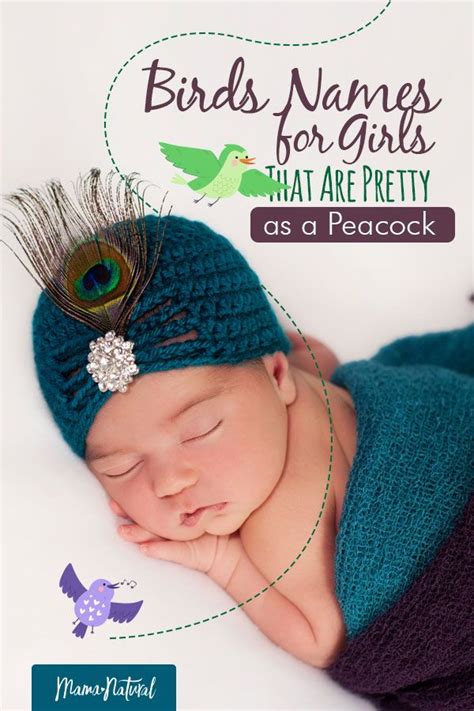 Bird Names for Girls That Are Pretty as a Peacock | Mama Natural | Wren baby name, Unique girl ...