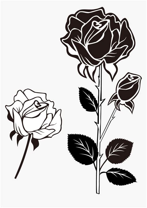 Gambar Bunga Mawar Png Vector