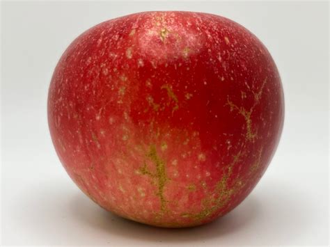 Heirloom Apples — Roots to Fruits Nursery