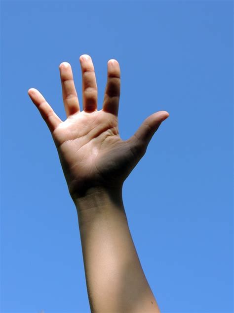 Hand Body · Free photo on Pixabay