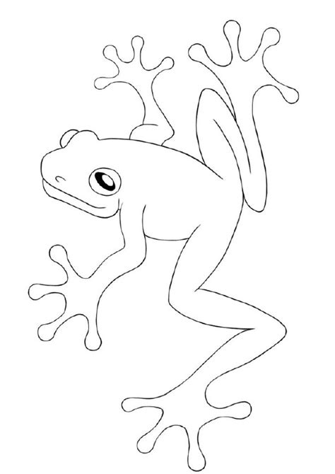 Coqui Frog Drawing at GetDrawings | Free download