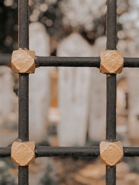 Black Metal Painted Fence · Free Stock Photo