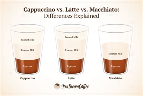 Cappuccino vs. Latte vs. Macchiato: Differences Explained