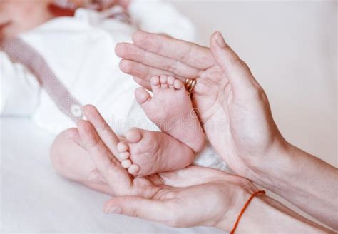 Newborn Baby`s Feet on Female Hands Closeup Stock Image - Image of ...