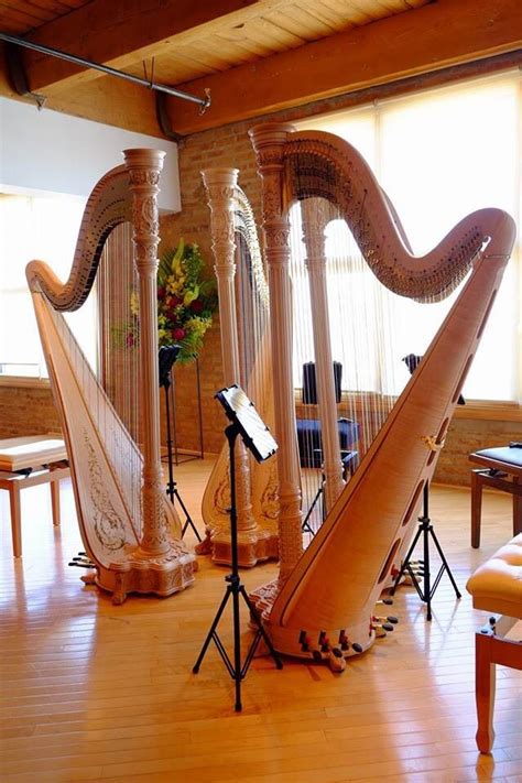 Four 23's | Harps music, Celtic harp, Harp