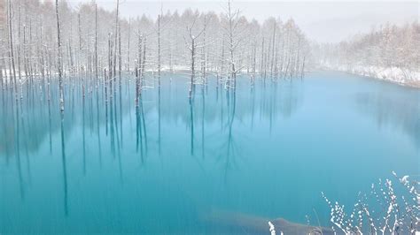 The Blue Pond in Snow,Hokkaido | Scenery, Beautiful nature, National geographic photo contest