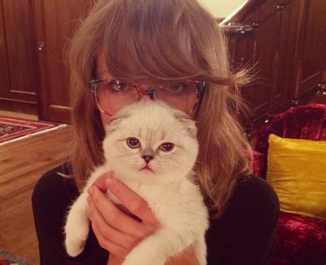 Taylor Swift Cat Instagram