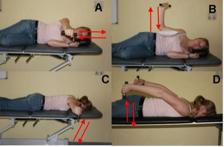 The Best Scapular Muscle Exercises to Prevent & Treat Shoulder Pain ...