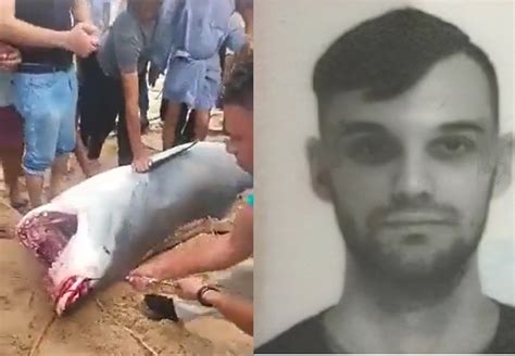 Vladimir Popov: Body Parts of Russian Man Eaten Alive by Shark Found Inside Intestine as Video ...
