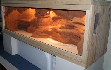 Cool Bearded Dragon Enclosure Decor Ideas References