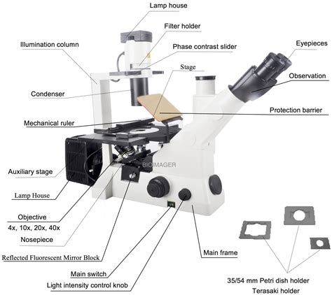 Inverted Fluorescence | Bioimager